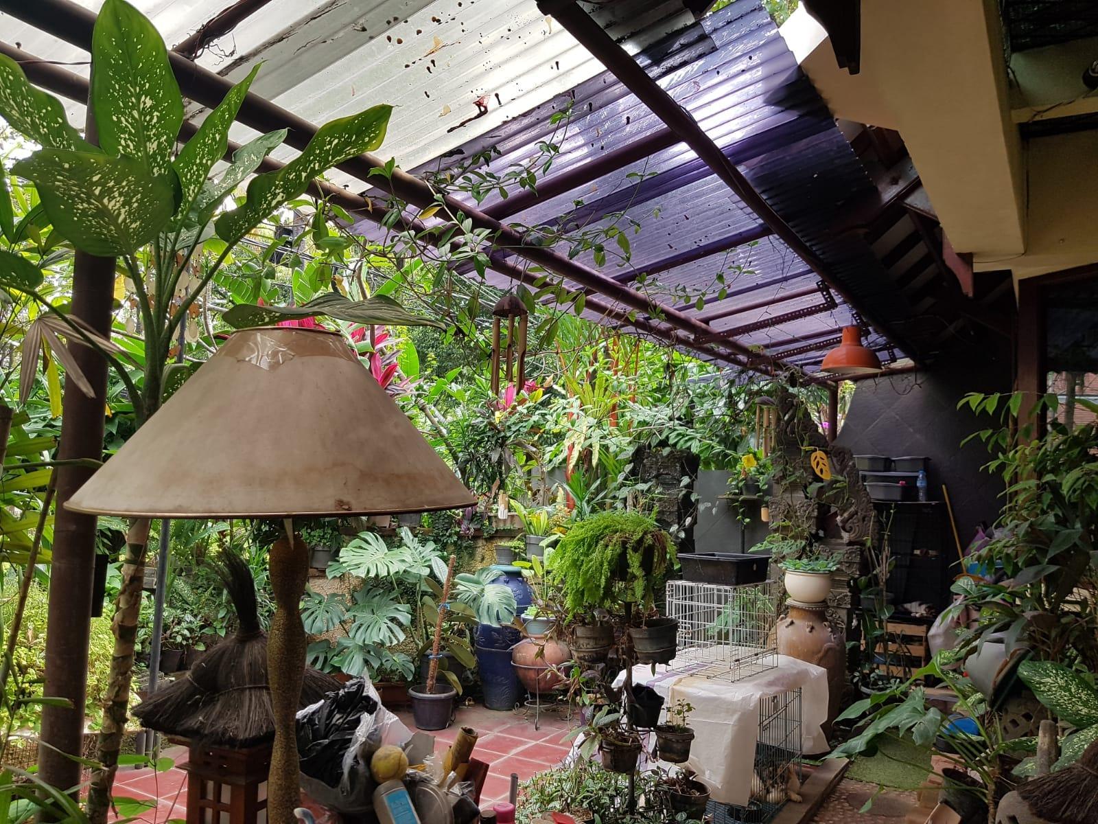 Dijual Cepat Rumah Hang Jebat Kebayoran Baru Jakarta Selatan 