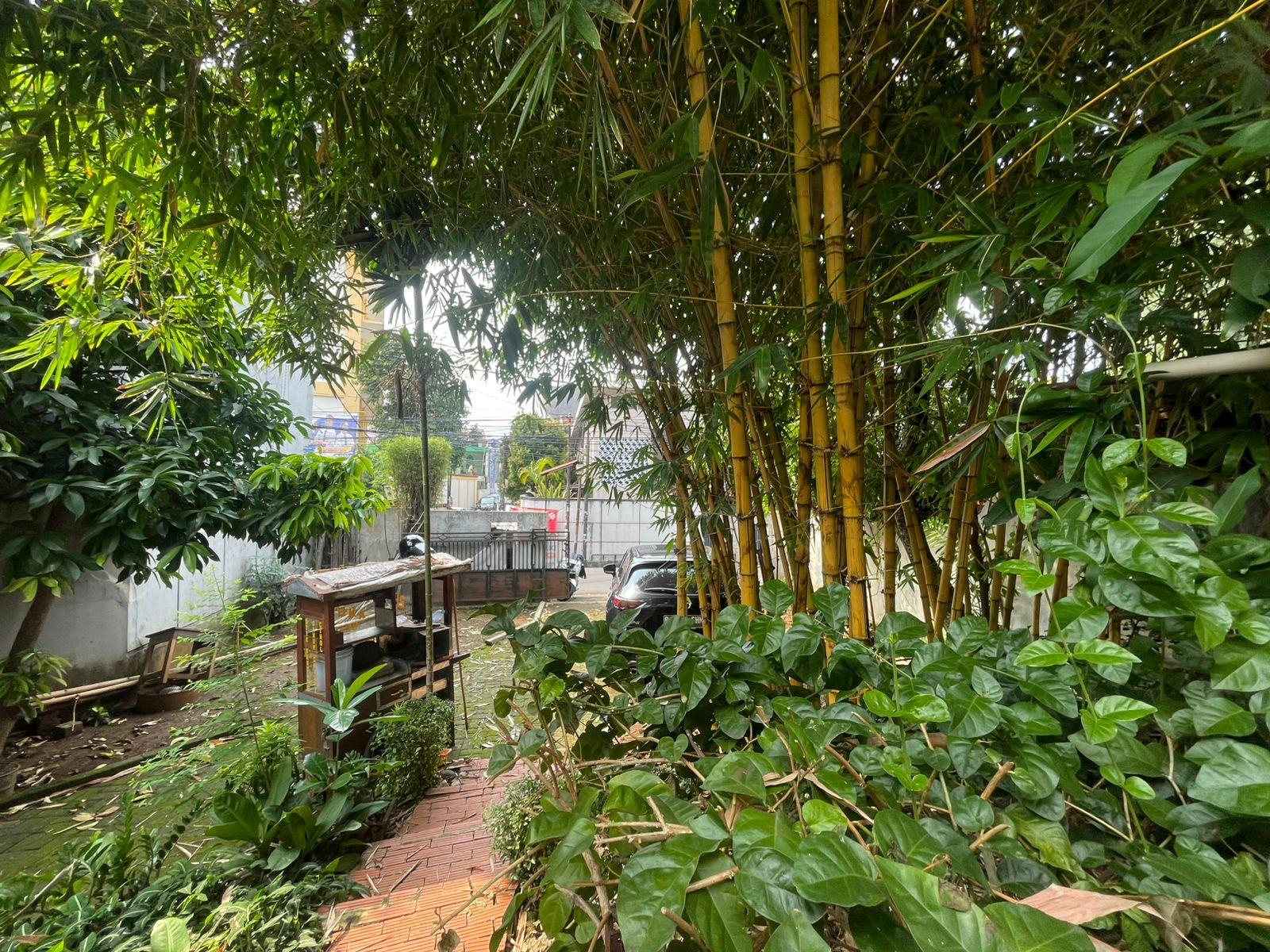 Dijual Rumah Tahun 80an Hitung Tanah Cipete Jakarta Selatan