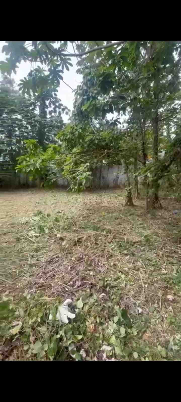 Hot Sale Tanah Di Bawah Harga: Njop per meter