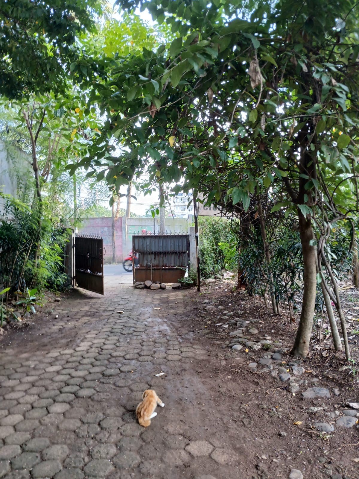 Dijual Tanah Kosong dan Ngantong Karang Tengah