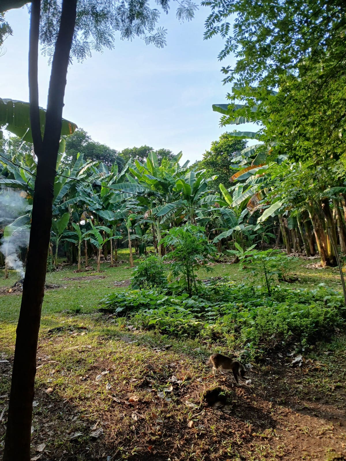 Dijual Tanah Kosong dan Ngantong Karang Tengah