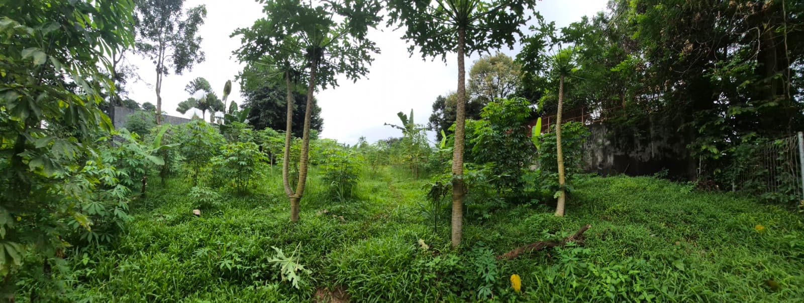 Dijual Lahan Bukit Golf Pondok Indah