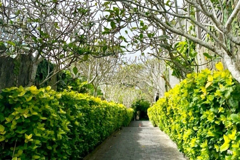 Taman Taman